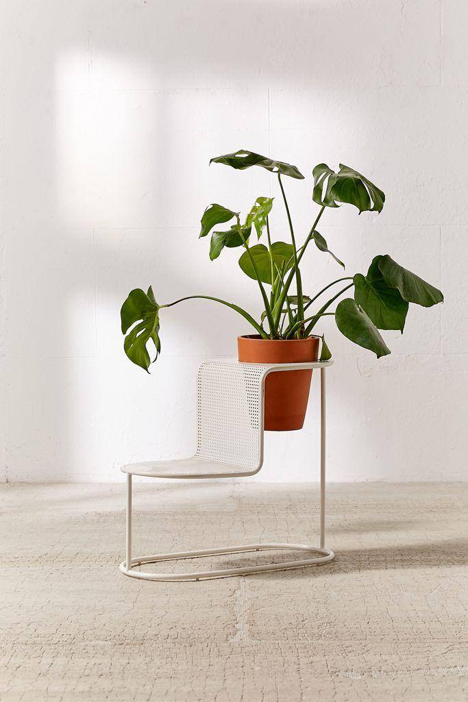 urbanoutfitters.com