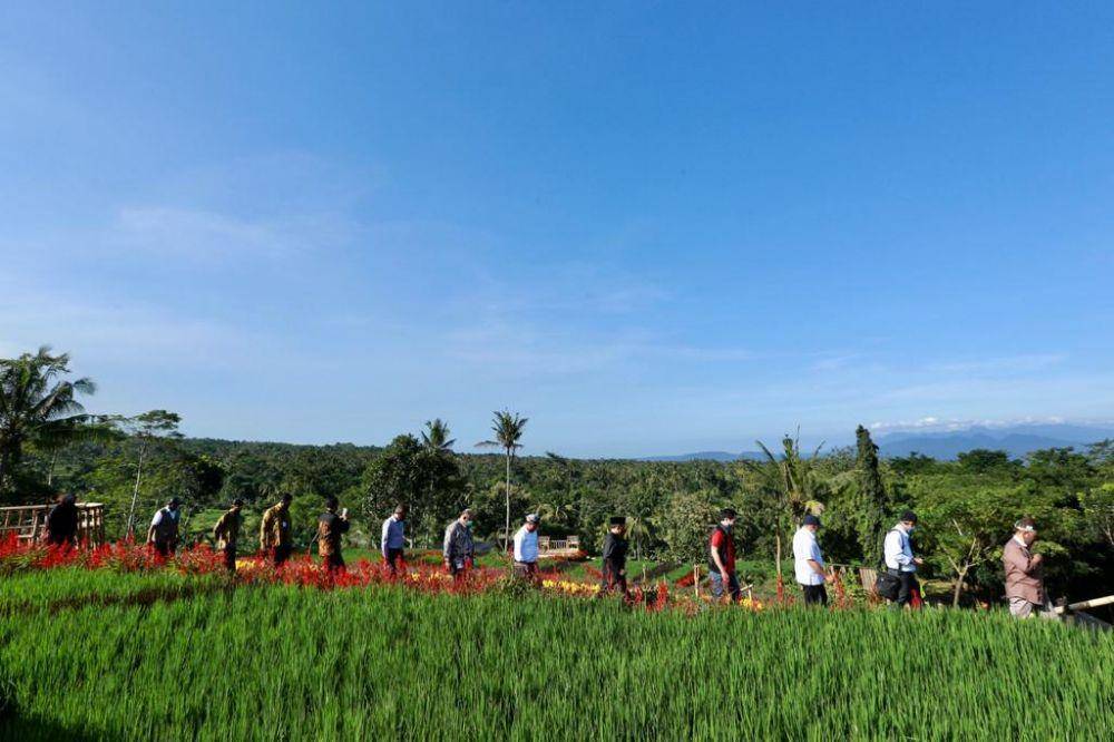 Bumi Blambangan, Banyuwangi. Dok. Humas Pemkab Banyuwangi