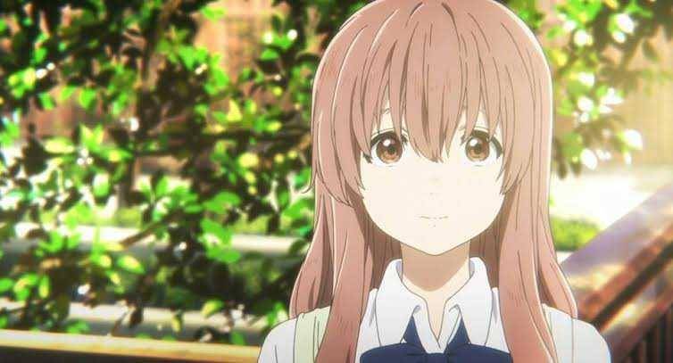 Facebook.com/shoukonishimiya