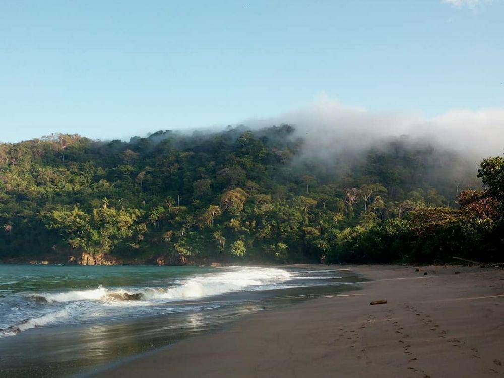 Instagram.com/pesonajember