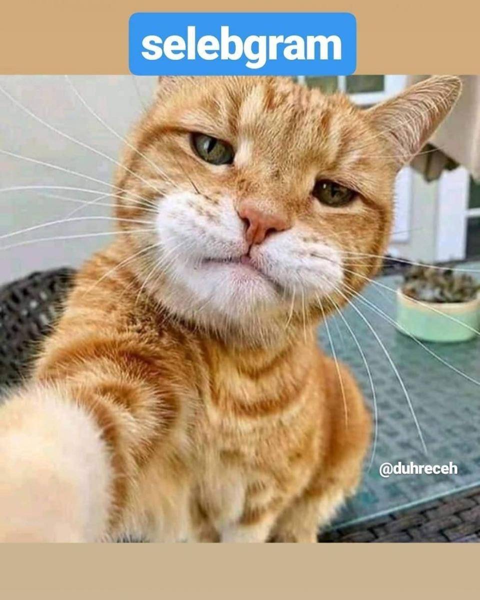 Instagram.com/duhreceh