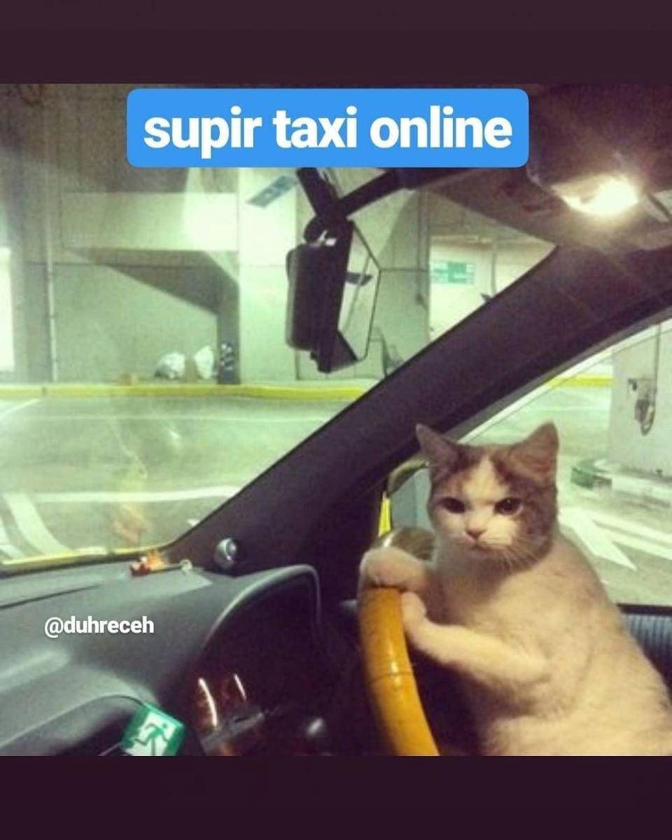 Instagram.com/duhreceh