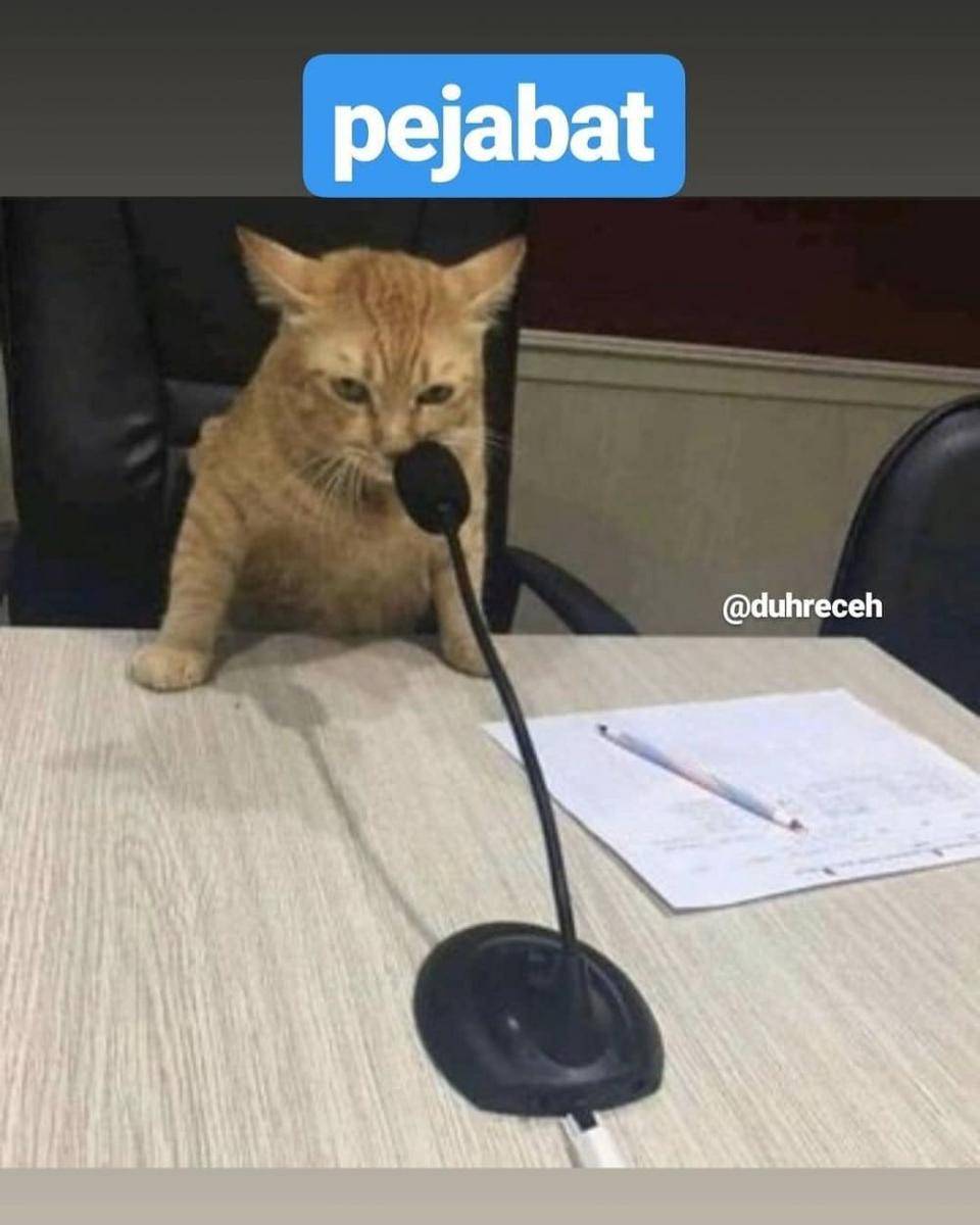 Instagram.com/duhreceh
