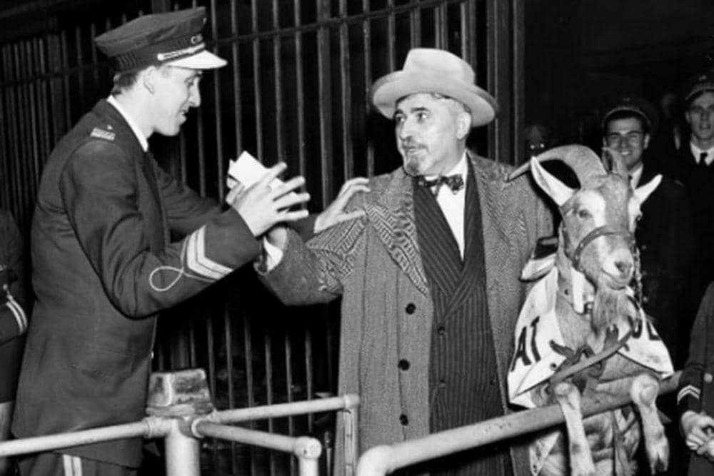 Petugas melarang William "Billy Goat" Sianis masuk karena membawa kambing. chicago.suntimes.com