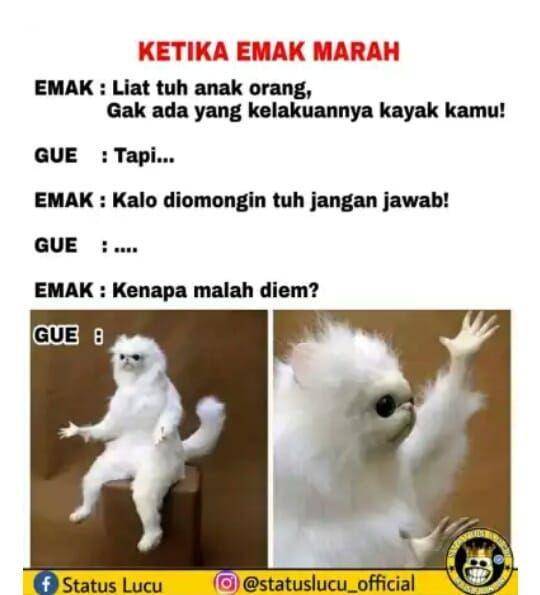 Instagram.com/statuslucu_official