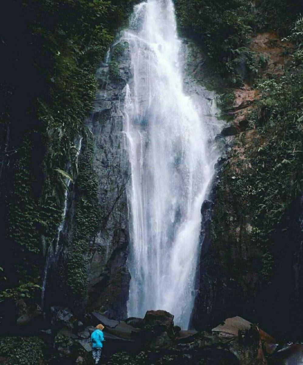 instagram.com/bogor_ih