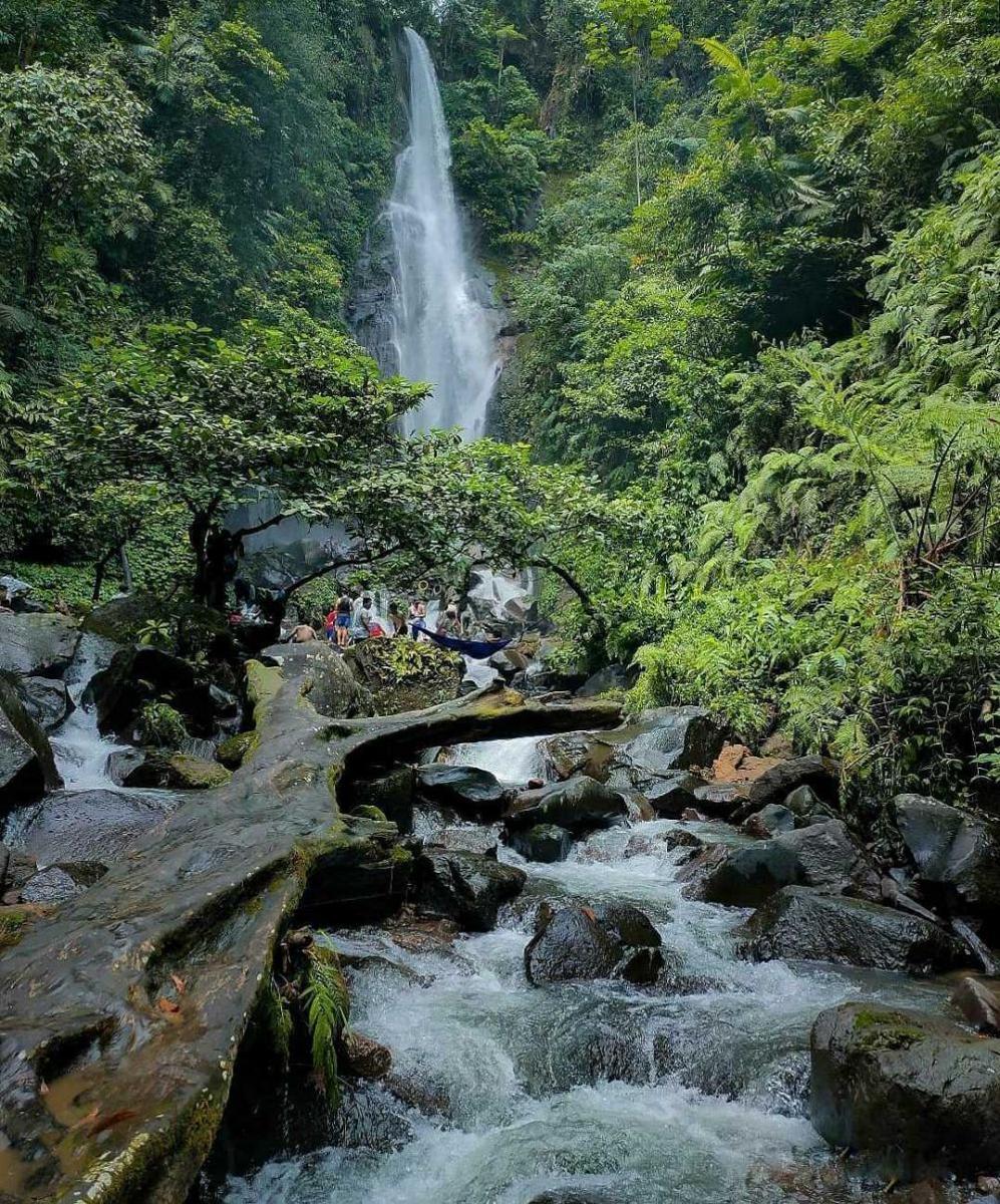5 Info Seputar Curug Cikaracak Bogor, Air Terjun yang Memacu Adrenalin