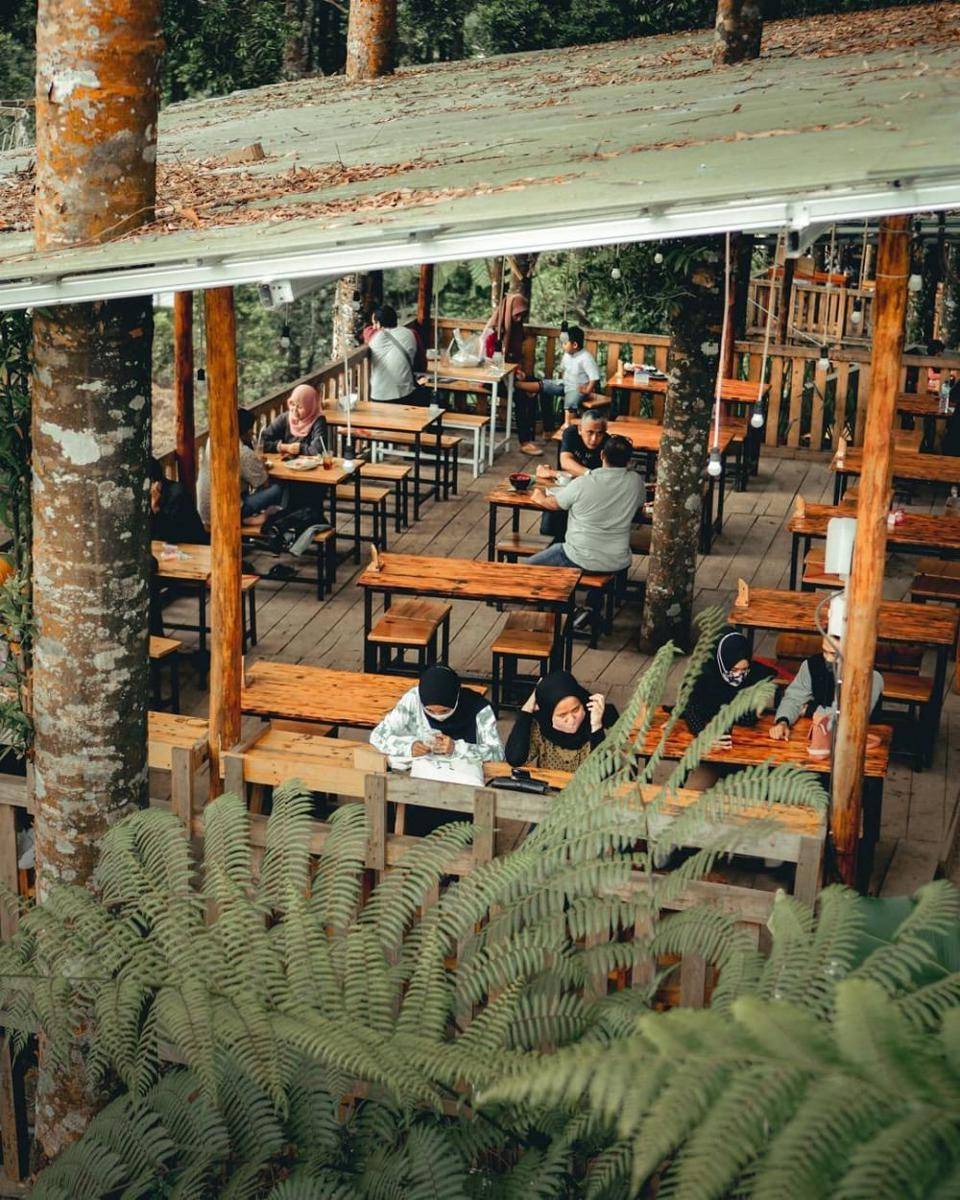 instagram.com/forest_kopi