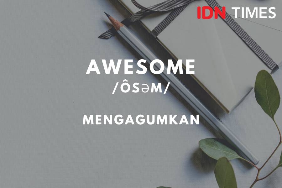 IDN Times/M. Tarmizi Murdianto