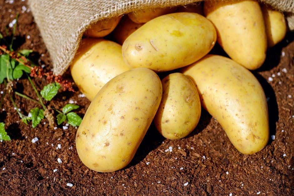 Dikenal Bergizi, 5 Buah & Sayur Ini Ternyata Mengandung Zat Radioaktif