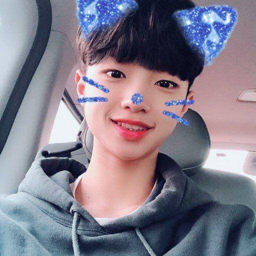 twitter.com/dongpyopyopyong