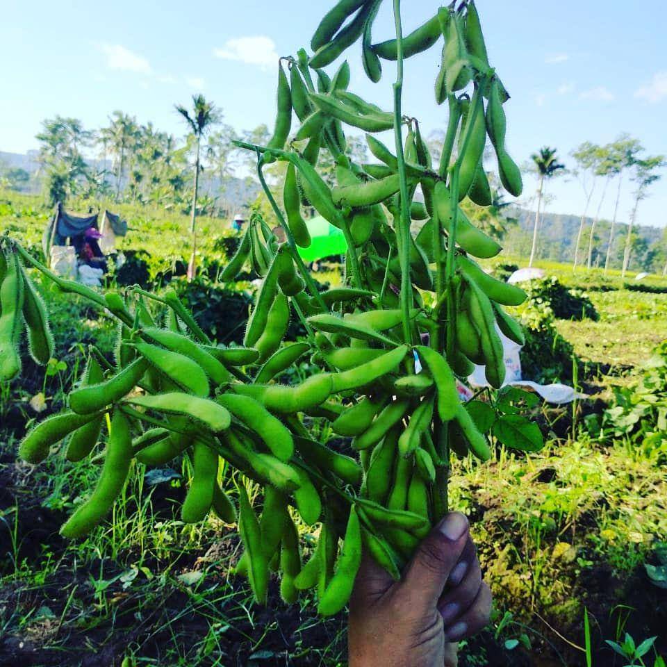 instagram.com/edamamejatim
