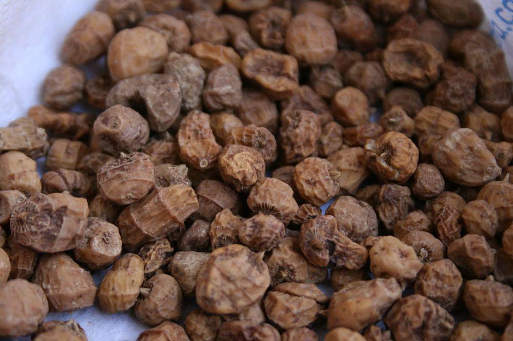 Berkenalan dengan Kacang Tiger, Camilan Sehat yang Bernutrisi