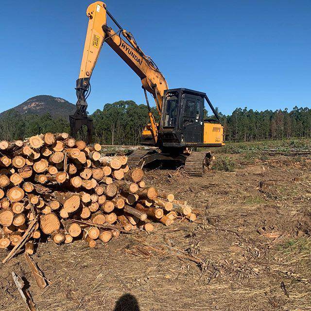 Produksi kayu di Australia .instagram.com/bchr_mitch/