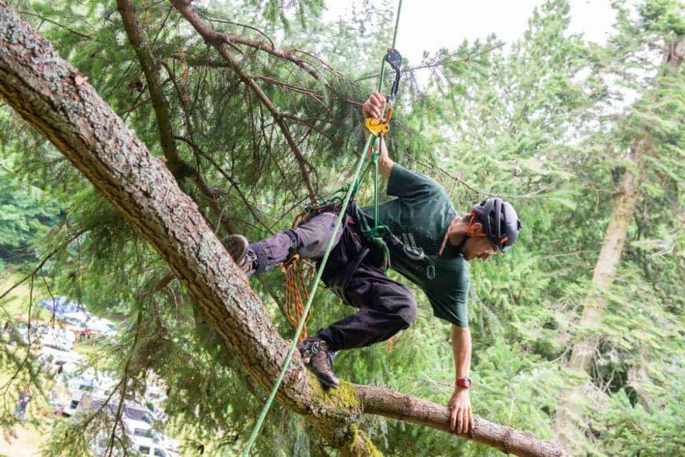 climbingarborist.com