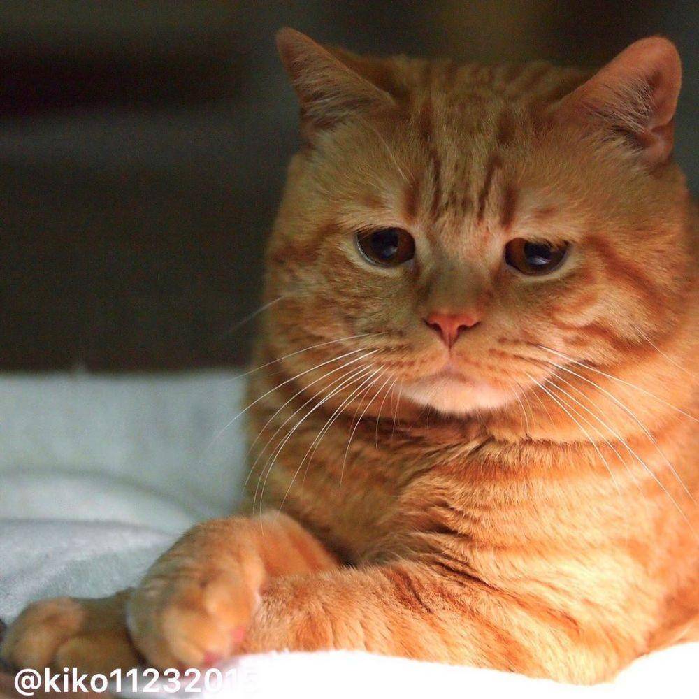 Instagram.com/kiko11232015