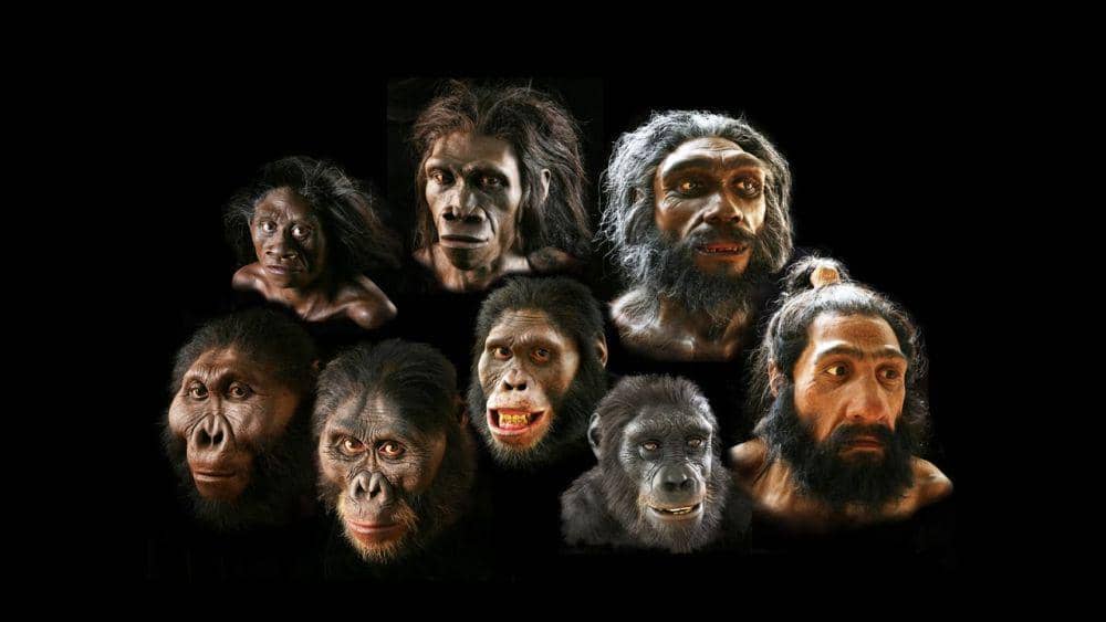 radicalmindshift.com