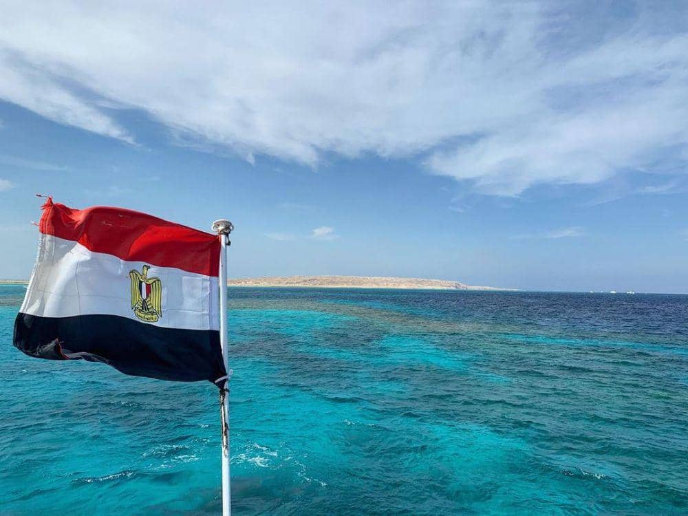 instagram.com/sophierohonyi/