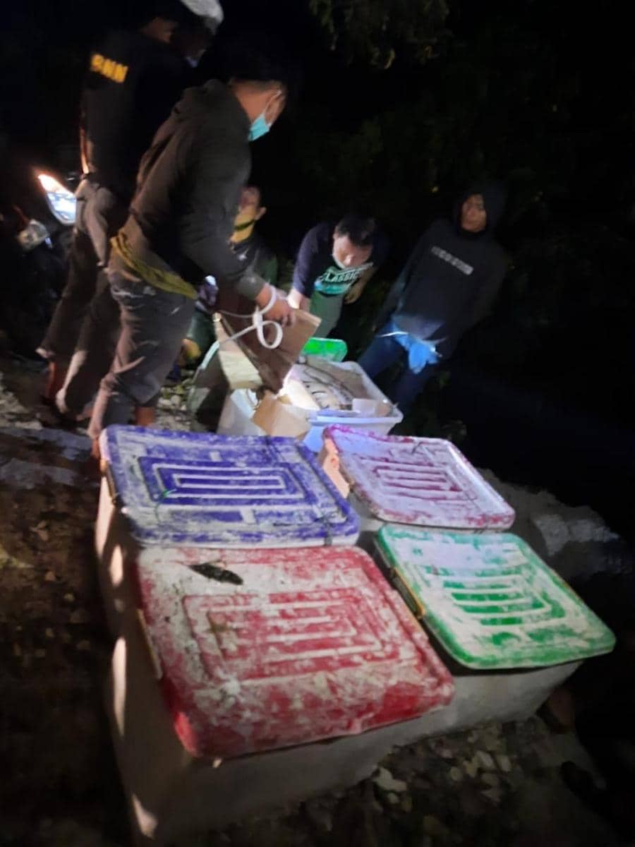 Petugas BNN menggagalkan peredaran 141 kg ganja (Dok.IDN Times/istimewa)