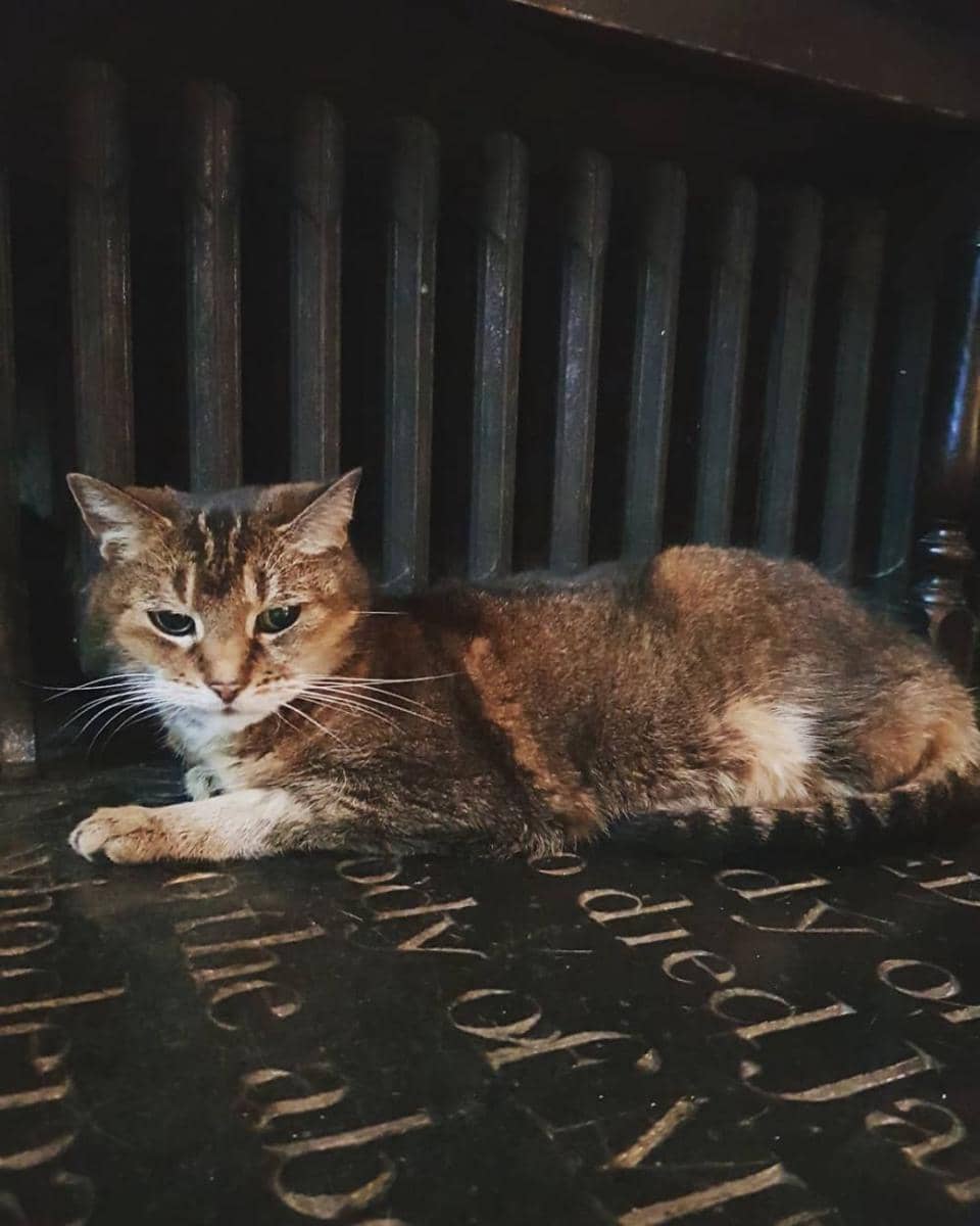 instagram.com/doorkins_magnificat