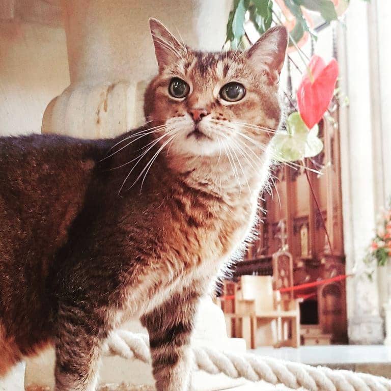 instagram.com/doorkins_magnifica