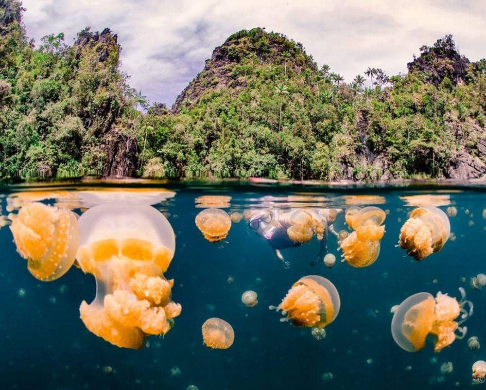 5 Spot yang Enggak Boleh Dilewatkan Kalau Mau Menyelam di Raja Ampat