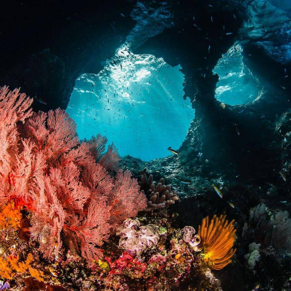 Goa Farundi, Misool. instagram.com/fadzleesk