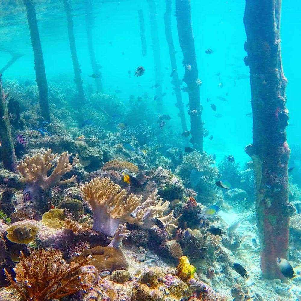 Pulau Friwen. instagram.com/oskytravel