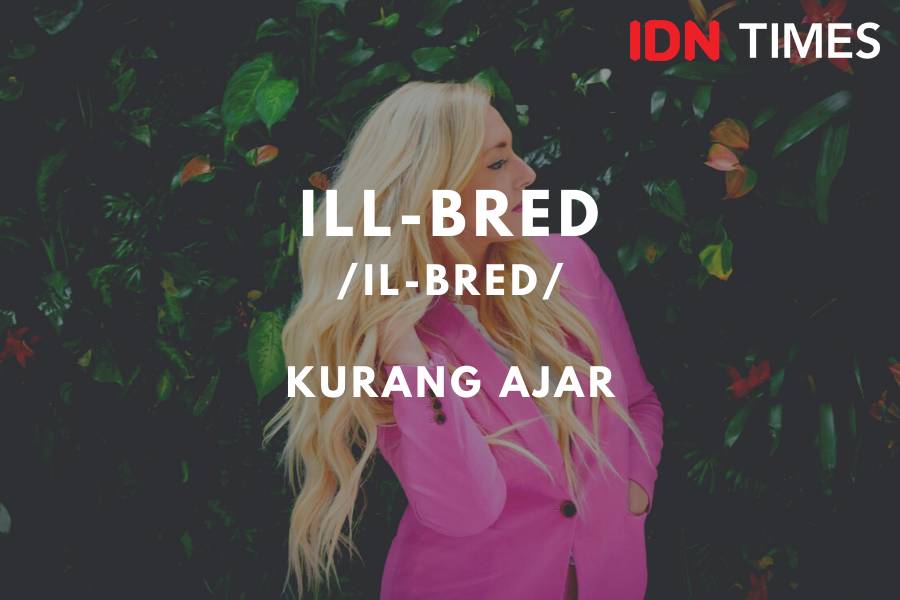 IDN Times/M. Tarmizi Murdianto