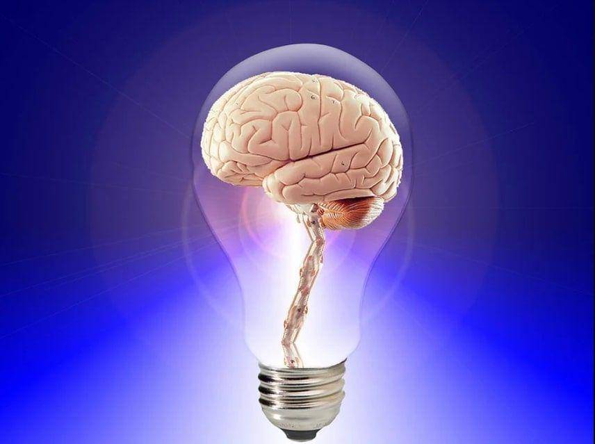 pixabay.com/publicdomainpictures