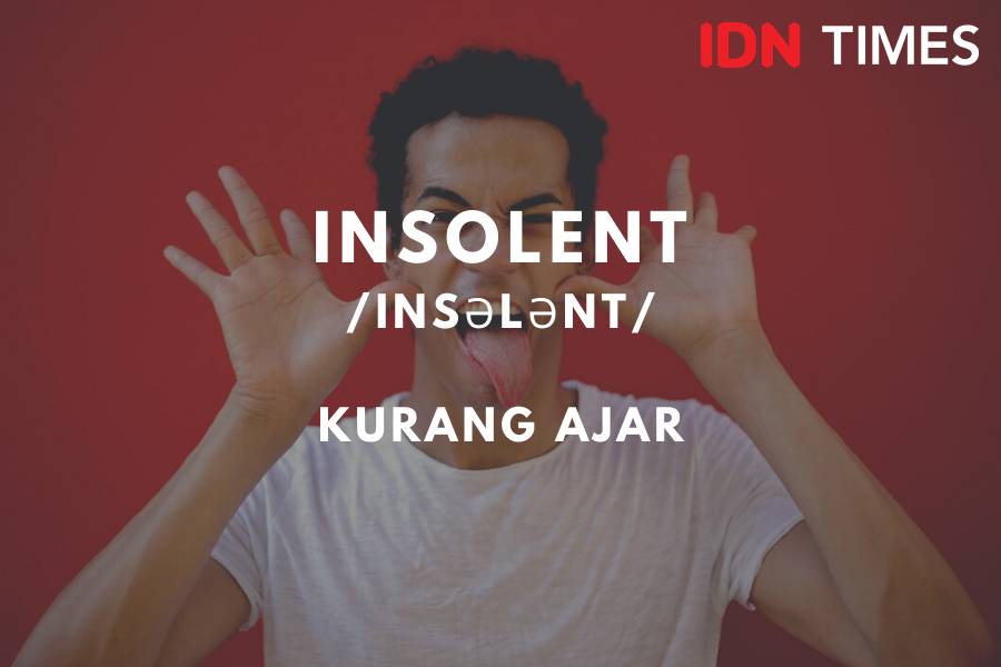 IDN Times/M. Tarmizi Murdianto