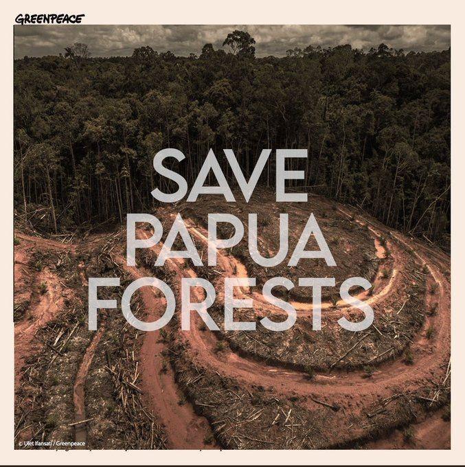 Greenpeace: Terima Kasih KPopers Ikut Sebar Isu Kebakaran Hutan Papua!