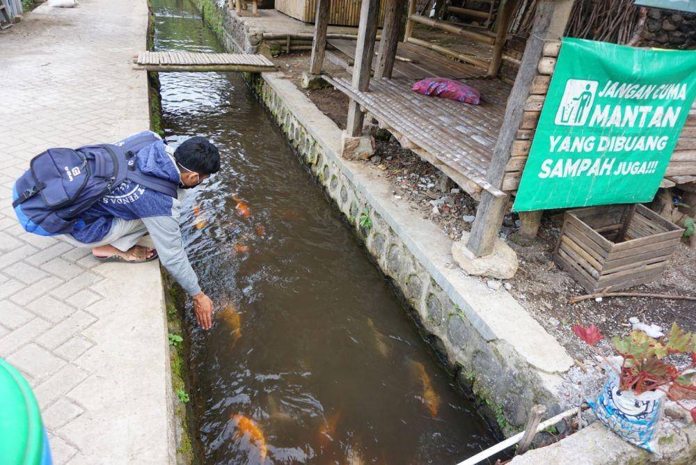 Pengunjung saat mengamati ikan hias di Kampung Ikan, Desa Kluncing Kecamatan Licin, Banyuwangi. IDN Times/Mohamad Ulil Albab
