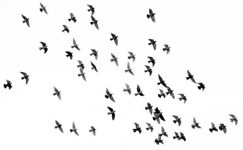 Unsplash.com/Mehdi Sepehri