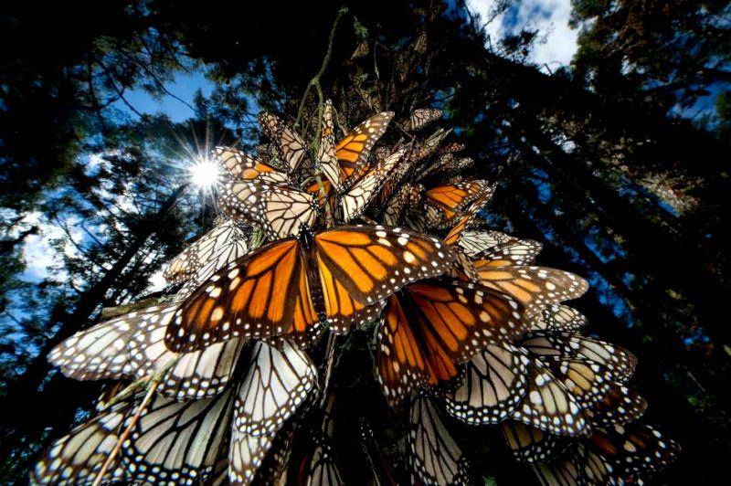 nationalgeographic.com