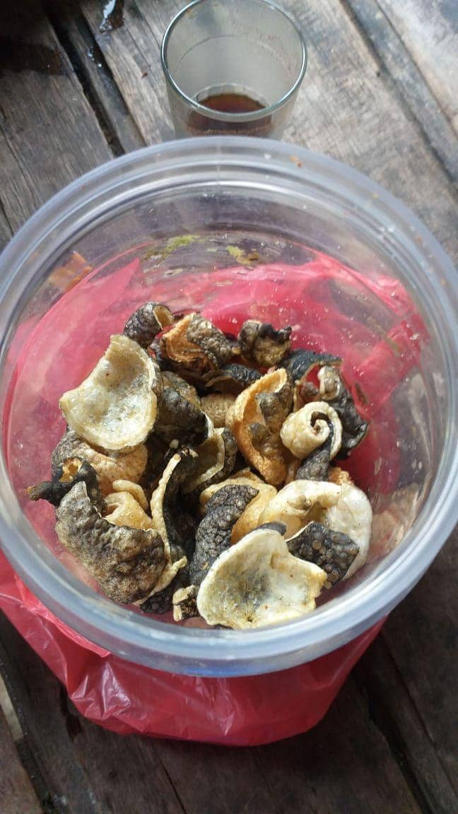 Kerupuk kulit ikan Buntal (Dok.IDN Times/Polsek Gerokgak)