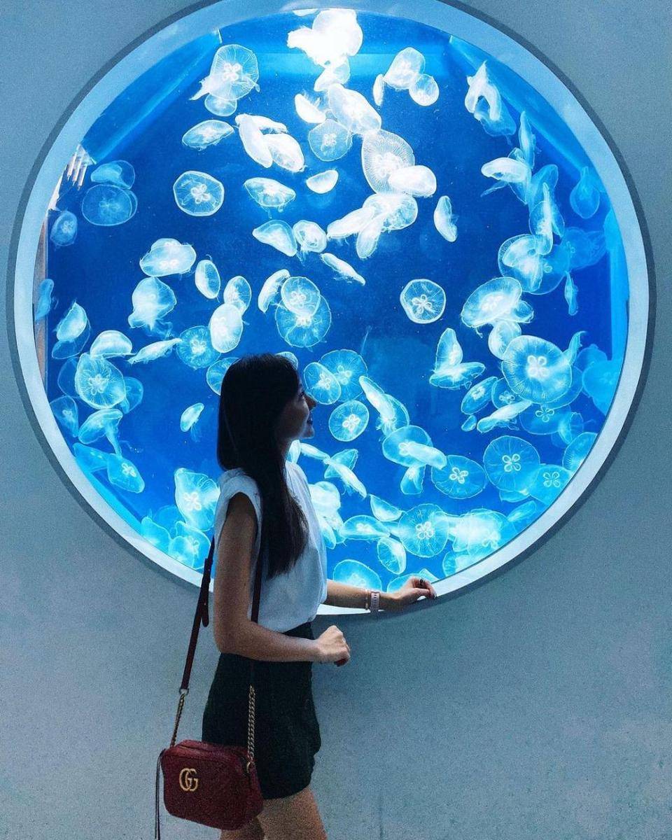 instagram.com/cath3rinee_