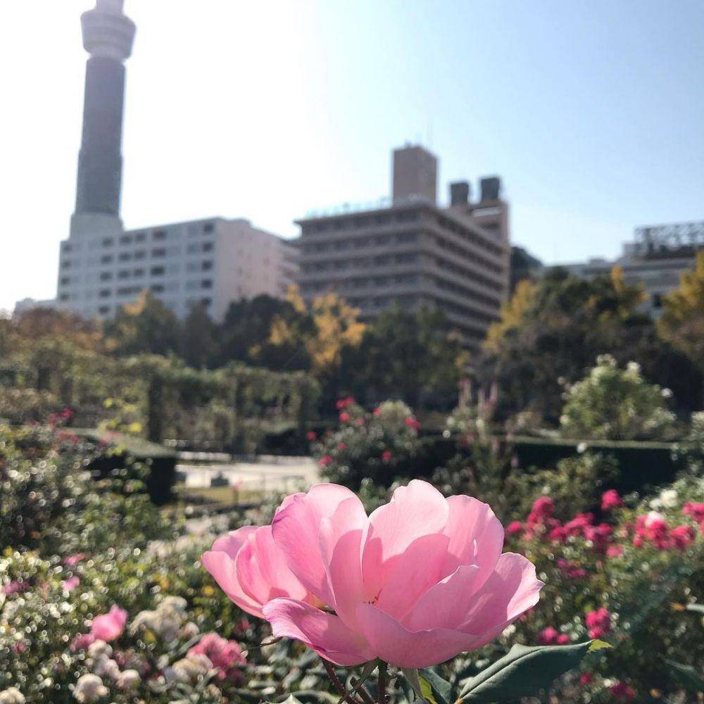 instagram.com/turumidake55