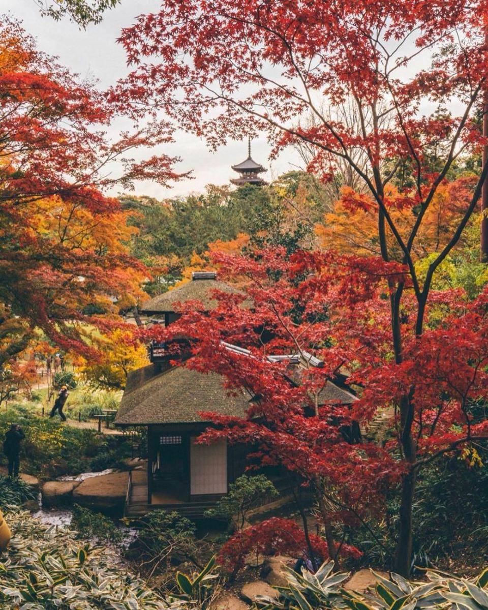 instagram.com/tokyu_railways