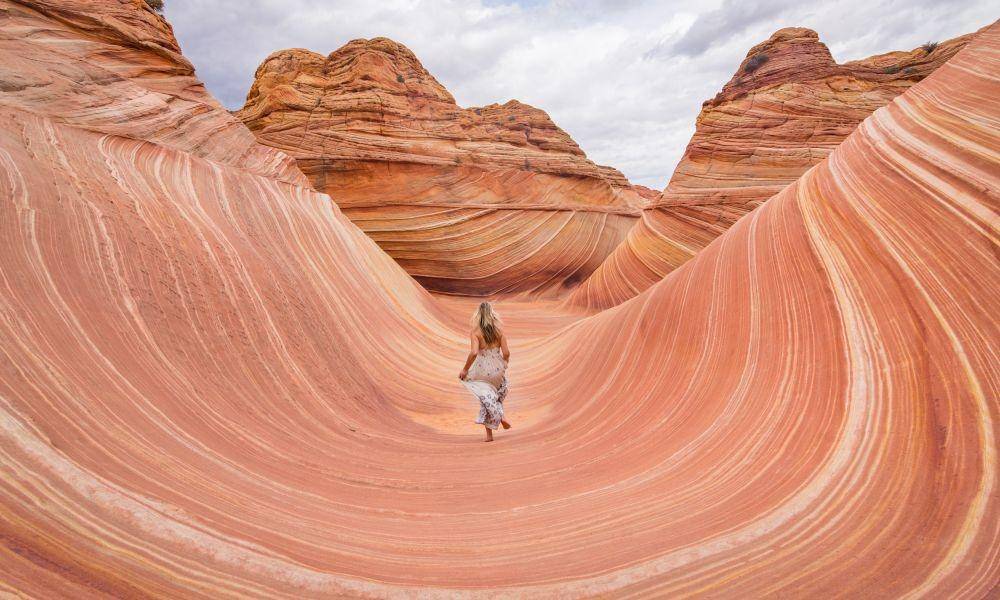 wanderingwheatleys.com