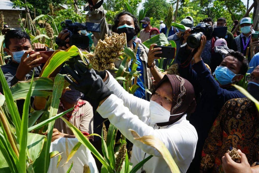 Risma Resmikan Hutan Kota Baru di Surabaya, Ada Apa Saja?