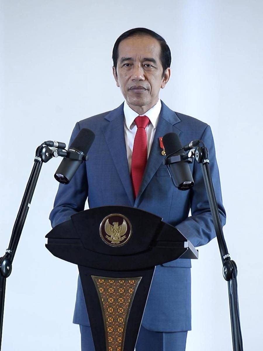 Presiden Jokowi memberikan sambutan di APEC CEO Dialogues 2020 (Dok. Biro Pers Kepresidenan)