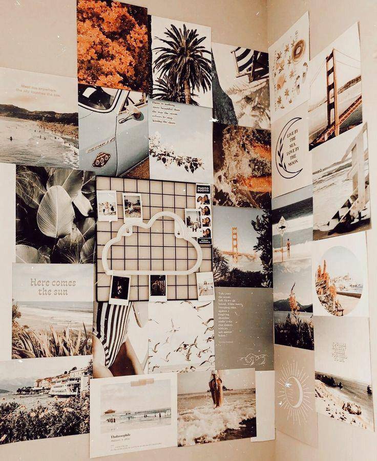 pinterest.com
