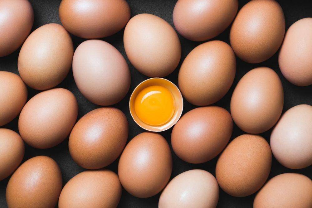 plantbasednews.com