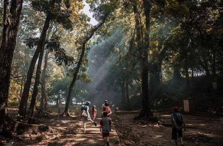 Wisata Cagar Alam Pananjung (Instagram/explorepangandaran)