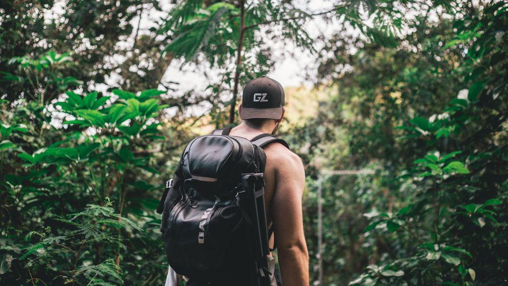 5 Cara Menentukan Arah Mata Angin Tanpa Kompas Saat Tersesat di Hutan
