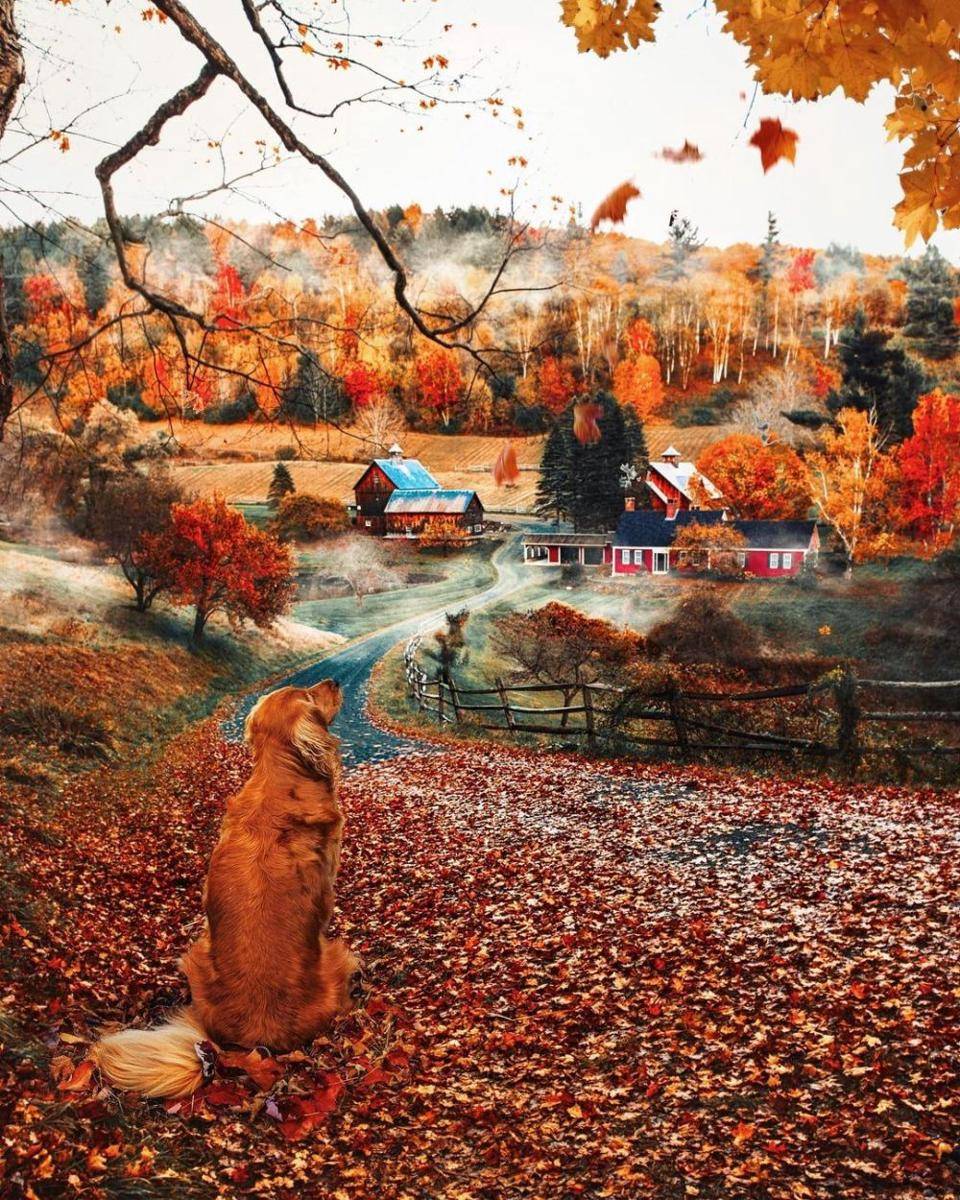 instagram.com/kjp