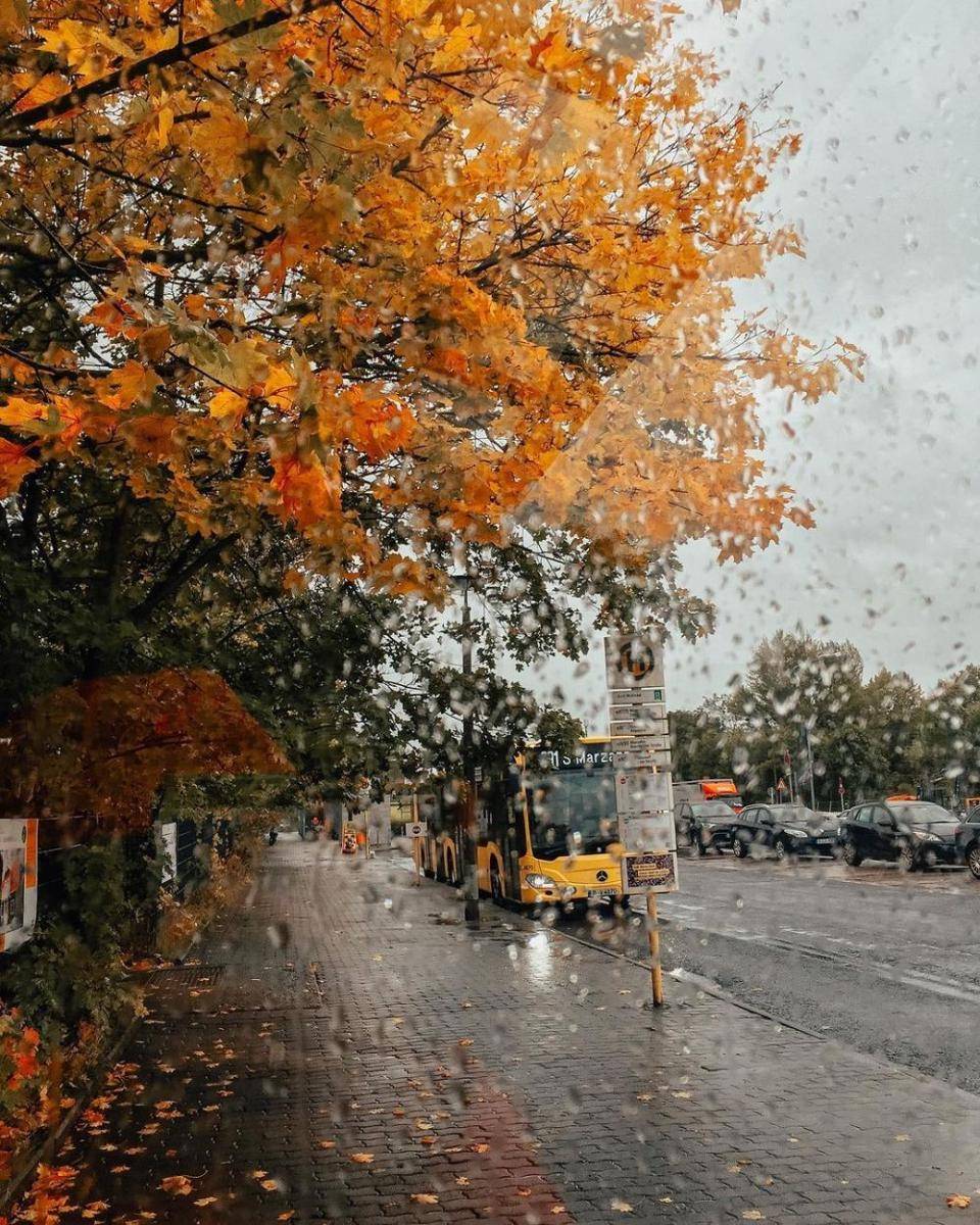 instagram.com/tatiana_and_berlin