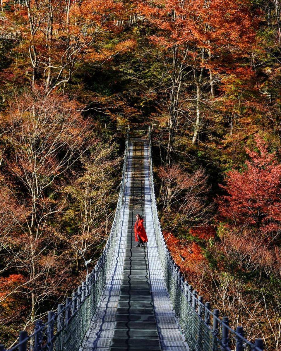 instagram.com/akira_1972_
