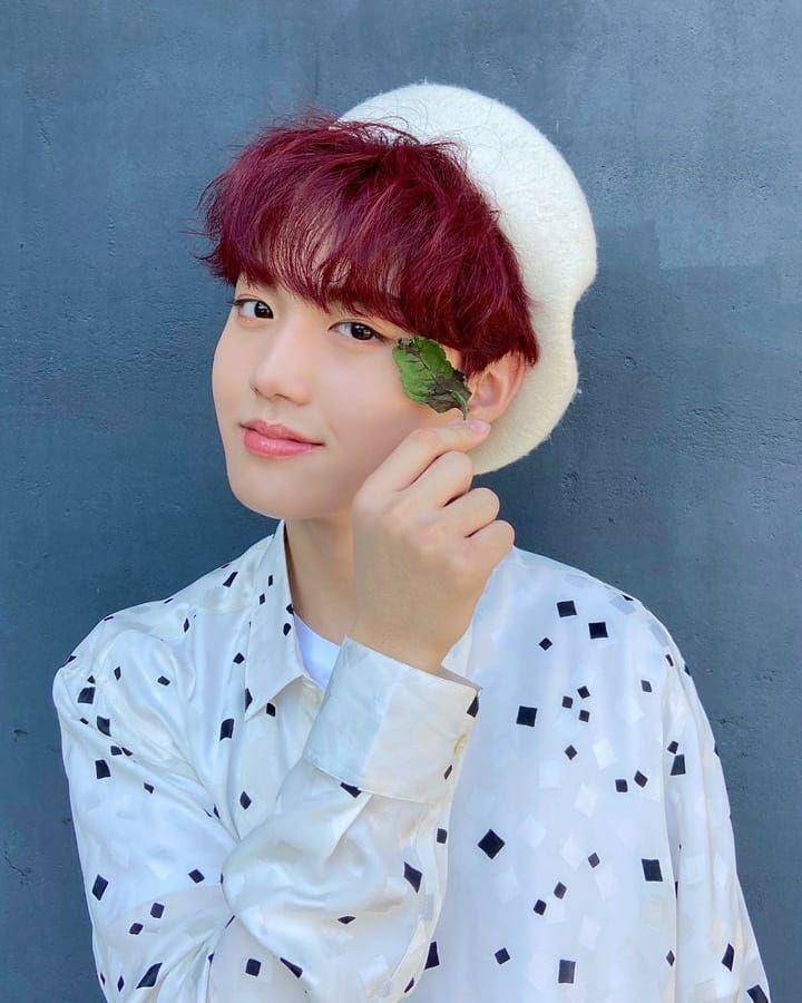 instagram.com/baby.doyoung